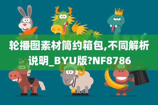 轮播图素材简约箱包,不同解析说明_BYU版?NF8786