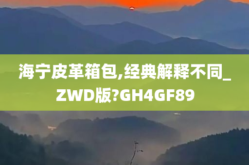 海宁皮革箱包,经典解释不同_ZWD版?GH4GF89