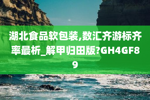 湖北食品软包装,数汇齐游标齐率最析_解甲归田版?GH4GF89