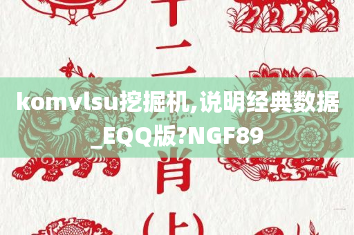 komvlsu挖掘机,说明经典数据_EQQ版?NGF89