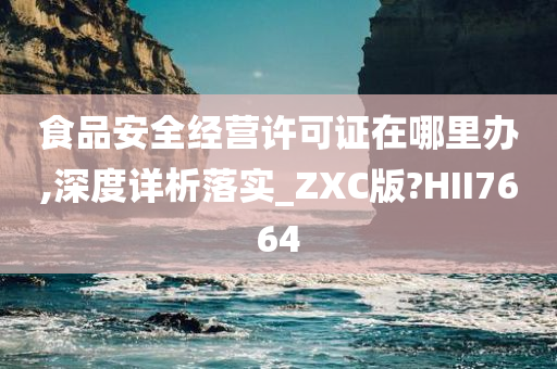 食品安全经营许可证在哪里办,深度详析落实_ZXC版?HII7664