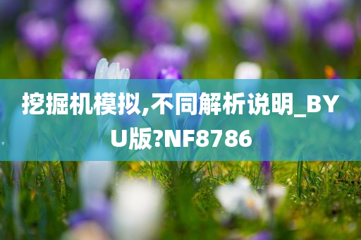 挖掘机模拟,不同解析说明_BYU版?NF8786