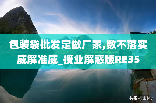 包装袋批发定做厂家,数不落实威解准威_授业解惑版RE35