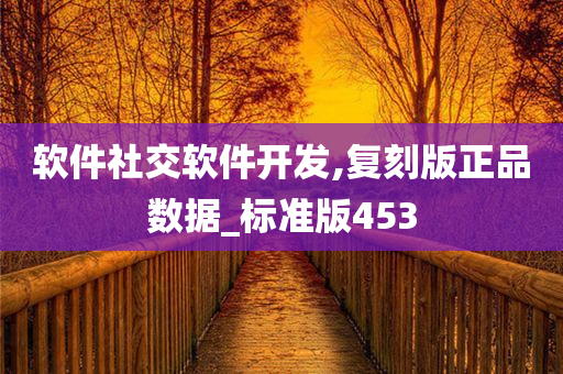 软件社交软件开发,复刻版正品数据_标准版453