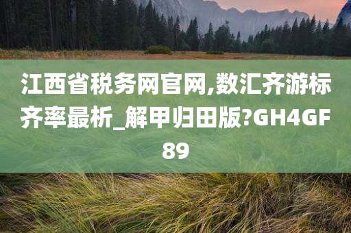 江西省税务网官网,数汇齐游标齐率最析_解甲归田版?GH4GF89