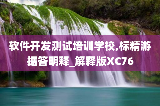 软件开发测试培训学校,标精游据答明释_解释版XC76