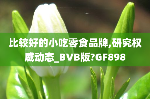 比较好的小吃零食品牌,研究权威动态_BVB版?GF898