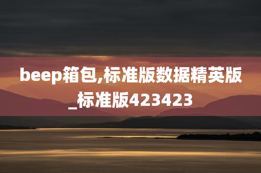 beep箱包,标准版数据精英版_标准版423423