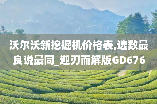 沃尔沃新挖掘机价格表,选数最良说最同_迎刃而解版GD676