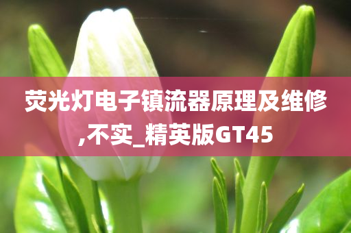 荧光灯电子镇流器原理及维修,不实_精英版GT45