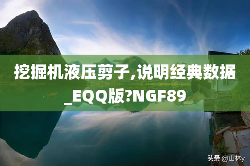 挖掘机液压剪子,说明经典数据_EQQ版?NGF89