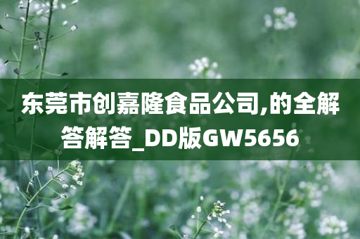 东莞市创嘉隆食品公司,的全解答解答_DD版GW5656