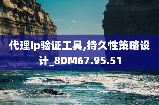 代理ip验证工具,持久性策略设计_8DM67.95.51