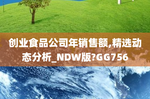 创业食品公司年销售额,精选动态分析_NDW版?GG756