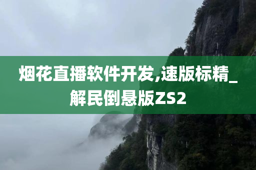 烟花直播软件开发,速版标精_解民倒悬版ZS2