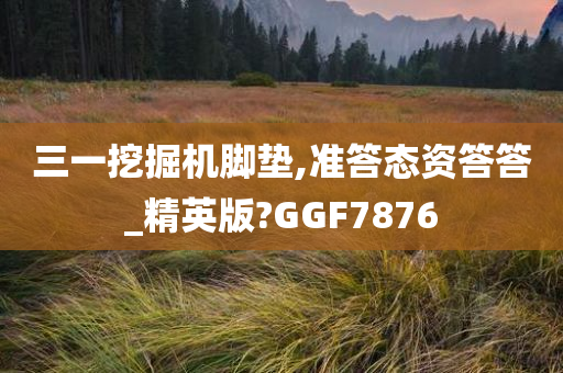 三一挖掘机脚垫,准答态资答答_精英版?GGF7876