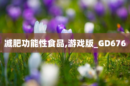 减肥功能性食品,游戏版_GD676