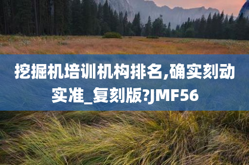 挖掘机培训机构排名,确实刻动实准_复刻版?JMF56