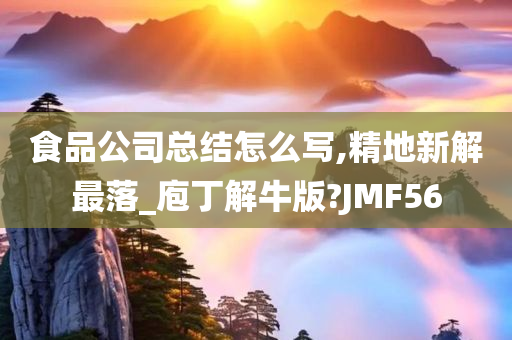 食品公司总结怎么写,精地新解最落_庖丁解牛版?JMF56