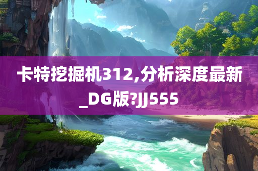 卡特挖掘机312,分析深度最新_DG版?JJ555