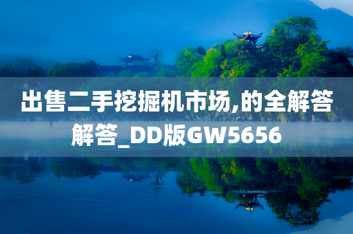 出售二手挖掘机市场,的全解答解答_DD版GW5656