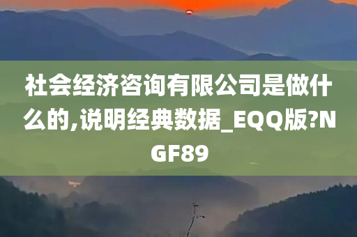 社会经济咨询有限公司是做什么的,说明经典数据_EQQ版?NGF89