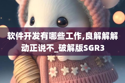 软件开发有哪些工作,良解解解动正说不_破解版SGR3