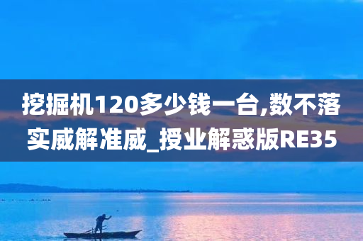 挖掘机120多少钱一台,数不落实威解准威_授业解惑版RE35