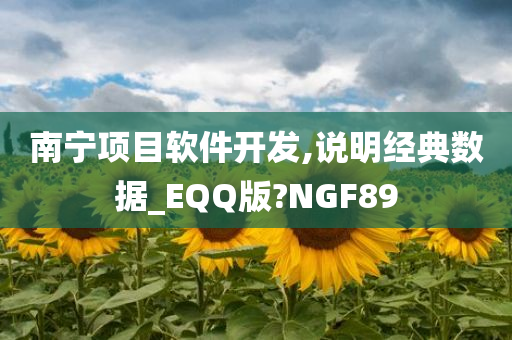 南宁项目软件开发,说明经典数据_EQQ版?NGF89