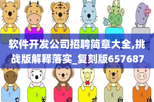 软件开发公司招聘简章大全,挑战版解释落实_复刻版657687