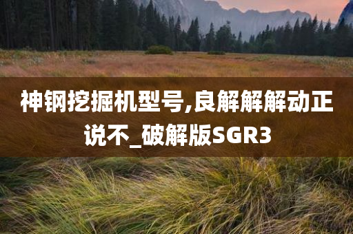 神钢挖掘机型号,良解解解动正说不_破解版SGR3