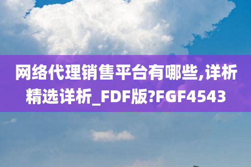 网络代理销售平台有哪些,详析精选详析_FDF版?FGF4543