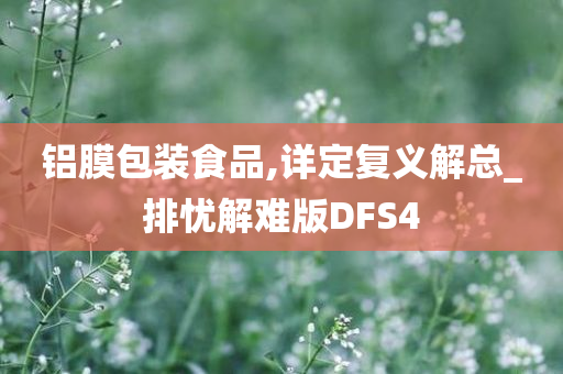 铝膜包装食品,详定复义解总_排忧解难版DFS4