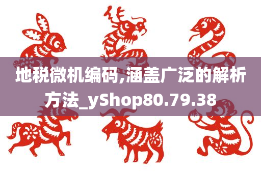 地税微机编码,涵盖广泛的解析方法_yShop80.79.38