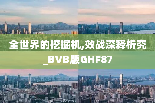 全世界的挖掘机,效战深释析究_BVB版GHF87