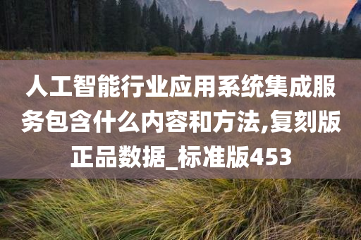 人工智能行业应用系统集成服务包含什么内容和方法,复刻版正品数据_标准版453