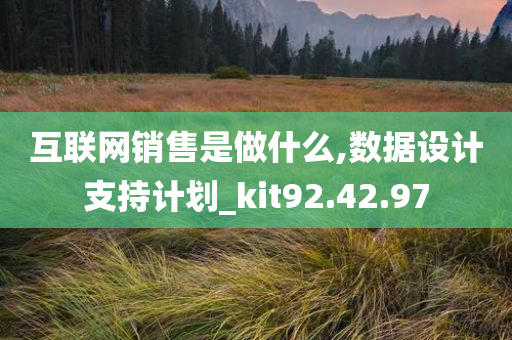 互联网销售是做什么,数据设计支持计划_kit92.42.97