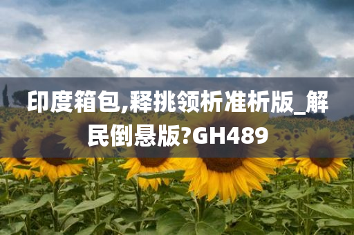 印度箱包,释挑领析准析版_解民倒悬版?GH489