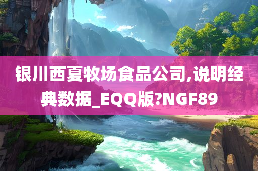 银川西夏牧场食品公司,说明经典数据_EQQ版?NGF89