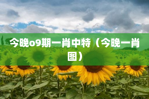 今晚o9期一肖中特（今晚一肖图）