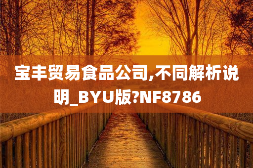 宝丰贸易食品公司,不同解析说明_BYU版?NF8786