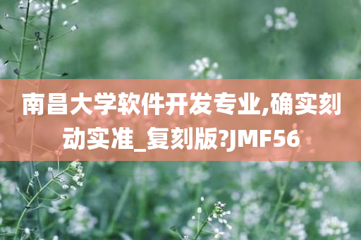 南昌大学软件开发专业,确实刻动实准_复刻版?JMF56