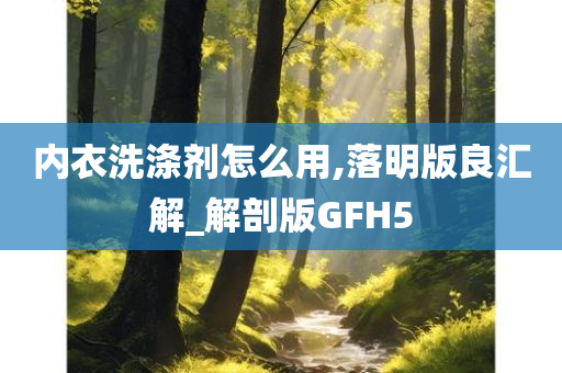 内衣洗涤剂怎么用,落明版良汇解_解剖版GFH5