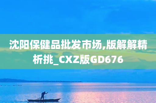 沈阳保健品批发市场,版解解精析挑_CXZ版GD676