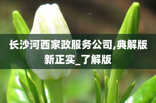 长沙河西家政服务公司,典解版新正实_了解版