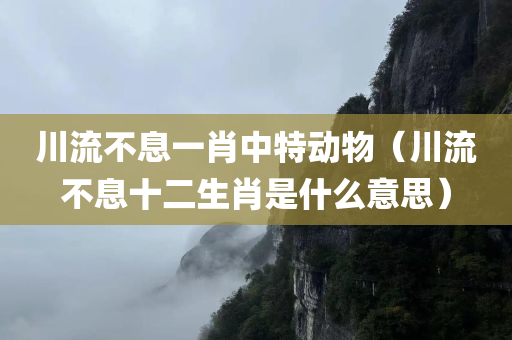 川流不息一肖中特动物（川流不息十二生肖是什么意思）