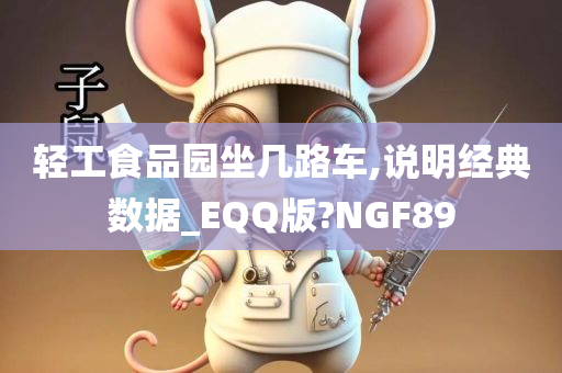 轻工食品园坐几路车,说明经典数据_EQQ版?NGF89