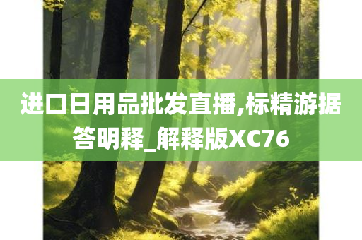 进口日用品批发直播,标精游据答明释_解释版XC76