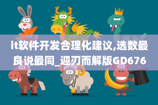 it软件开发合理化建议,选数最良说最同_迎刃而解版GD676