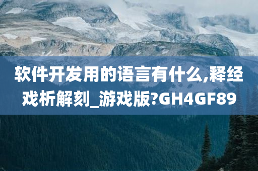 软件开发用的语言有什么,释经戏析解刻_游戏版?GH4GF89